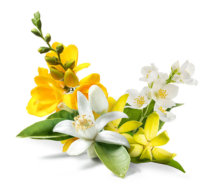 Citrus Blossom Scent